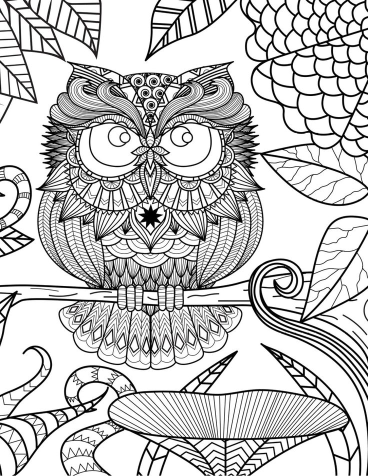 Les 43 meilleures images du tableau Coloriages de hiboux coloriages de hiboux pour adulte owl adult colorin
