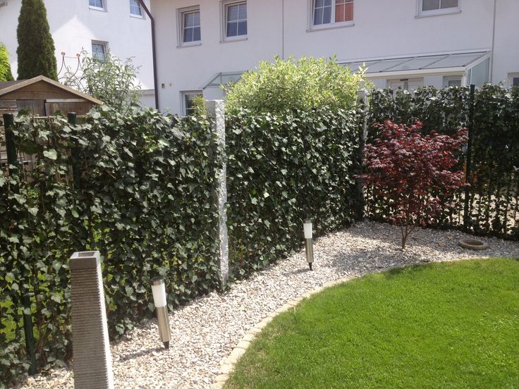 20 besten Hecke am laufenden Meter® Mobilane Fertighecke® Bilder - garten sichtschutz stein 20 besten Hecke am laufenden Meter® Mobilane Fertighecke® Bilder - garten sichtschutz stein