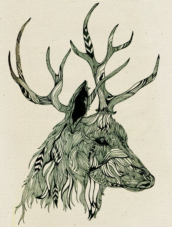 Animals on Behance | Animals, Illustration art, Cool drawings