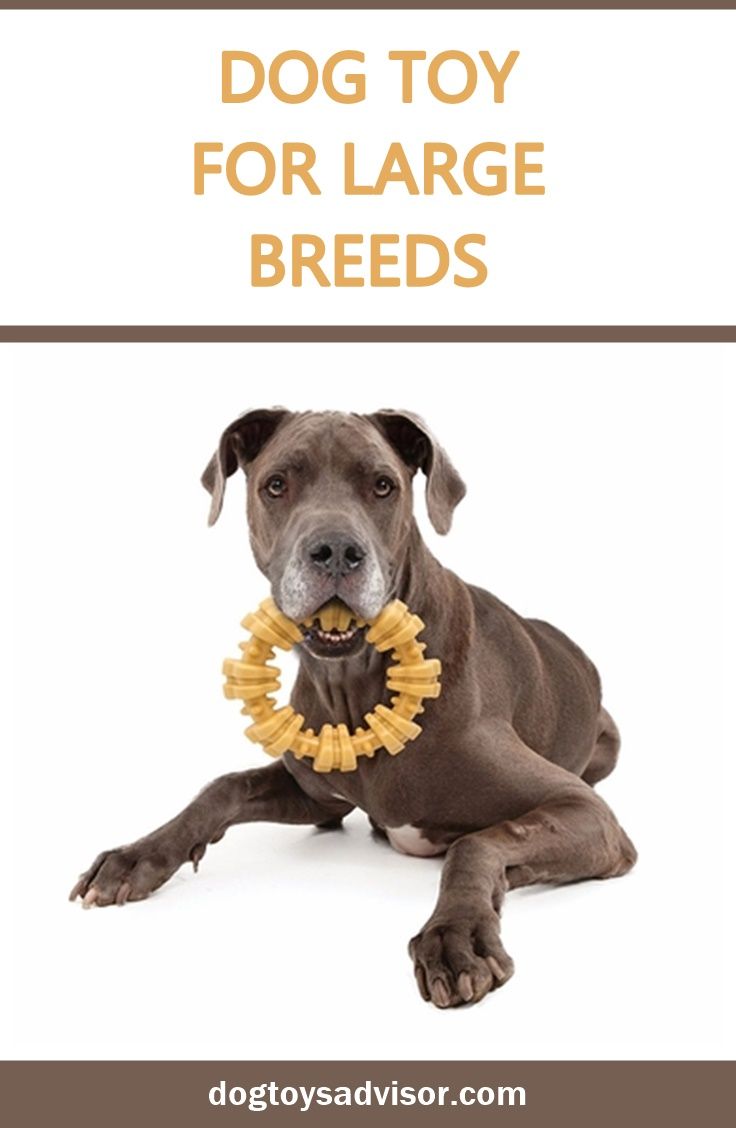 This Is The Best Dog Toy For Large Breeds It Lasts Longer Than