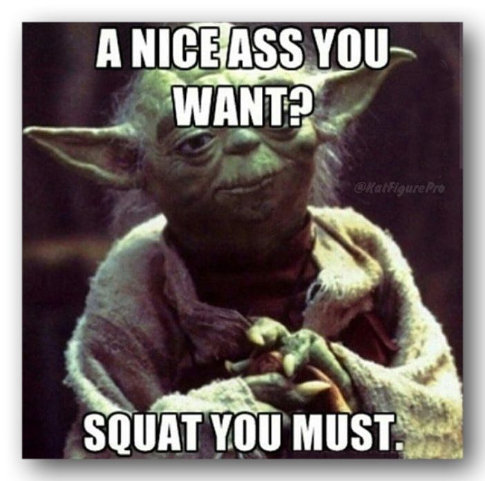 best 25 workout memes ideas on pinterest funny workout memes d5f0cc35e81d0fe0294c6b908c509659 squat meme funny squat memes best 25 workout memes ideas on pinterest funny workout memes,Funny Ab Memes