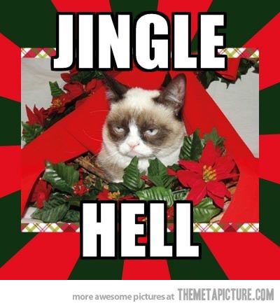 465 best grumpy cat & pokey images on pinterest funny animal d5fe120a2c72975b75a3f4d3c2d6d124 grumpy cat quotes grumpy cat meme 465 best grumpy cat & pokey images on pinterest funny animal