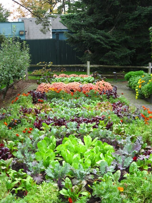 Die besten 25+ Gemüsegarten Layouts Ideen auf Pinterest Anbau - gemusegarten anlegen beispiele Die besten 25+ Gemüsegarten Layouts Ideen auf Pinterest Anbau - gemusegarten anlegen beispiele
