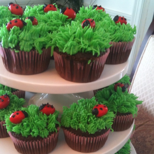 Best 25+ Bug cupcakes ideas on Pinterest Bug cake, Sugar ...
