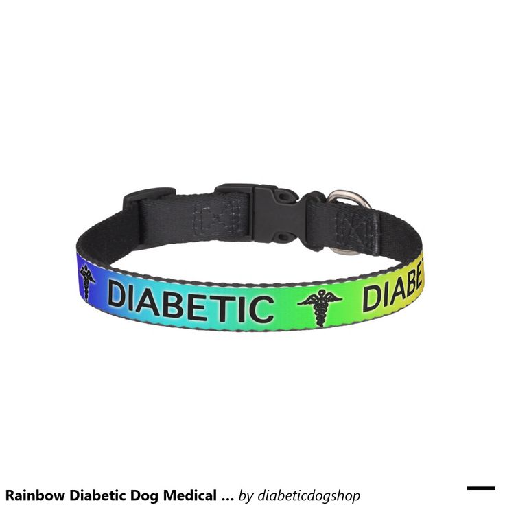 Diy Medical Dog Collar Diy Medical Dog Collar
