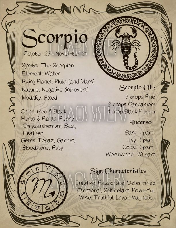 Zodiac Buch Zodiac Buch
