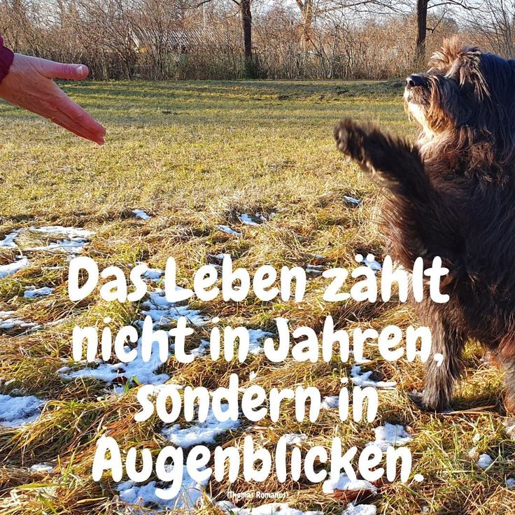 Euch Auch Ein Schönes Wochenende Euch Auch Ein Schönes Wochenende