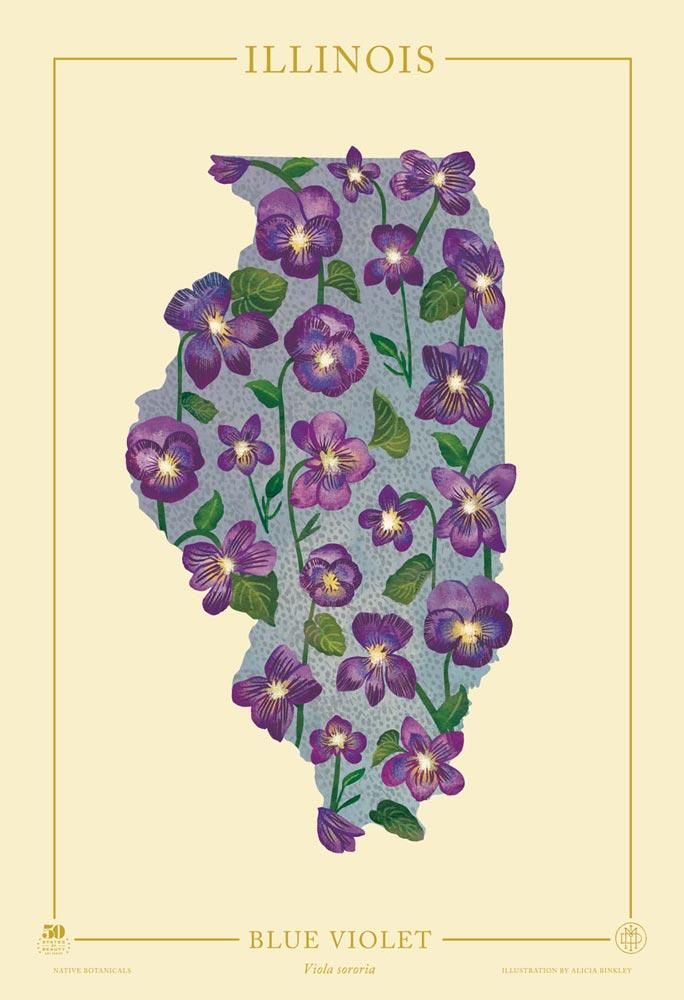 Vintage US State Flower /& Botanical Map Poster