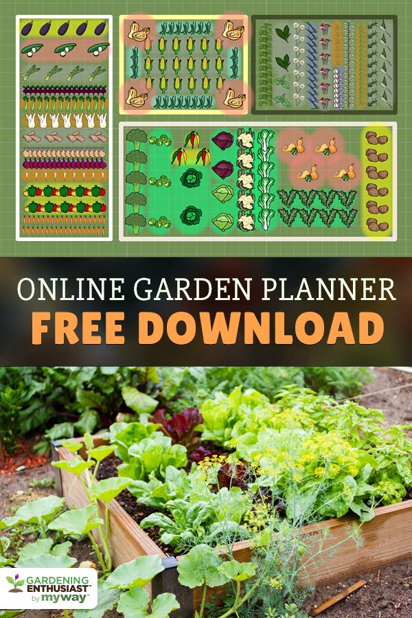 Plan Your Veggie Garden With Free Design Space To Grow A Healthy Beautiful Vegetable Gard Moestuinontwerp Tuinplanning Het Planten Van Groenten Veggie Garden With Free, Vegetable Garden Pictures Free