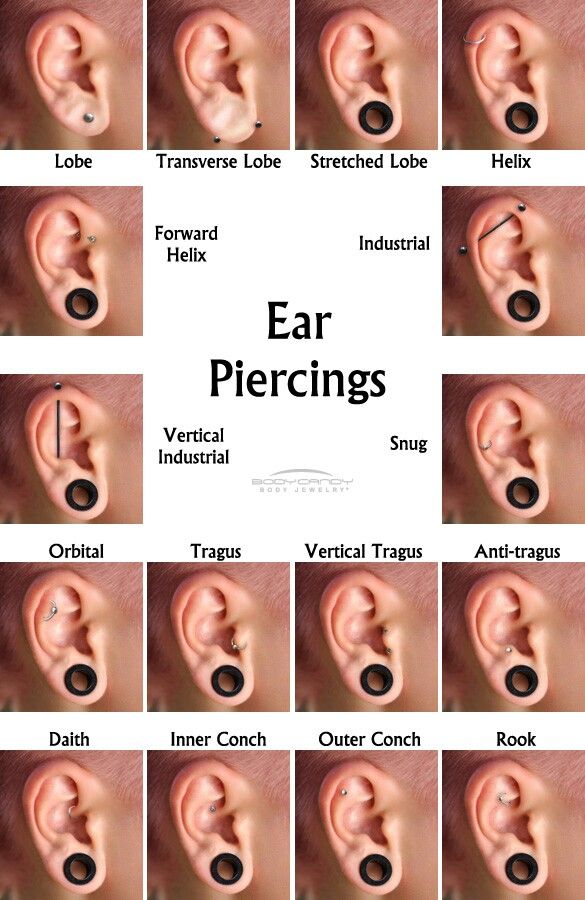 12 Best Earrings Images On Pinterest Piercing Ideas And Diffe Kinds Of Ear Piercings