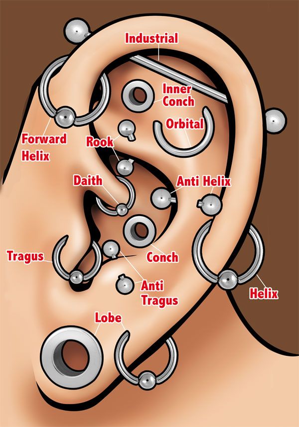 Piercings am ohr. wie heissen die?