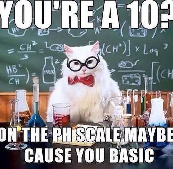 324 best chemistry, science images on pinterest chemistry art d6838552c2be45f6078758b2bc47a6c1 science cat science memes 324 best chemistry, science images on pinterest chemistry art