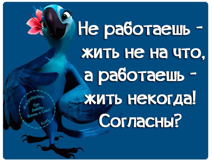 Картинки работаешь жить некогда не, старшему брату днем