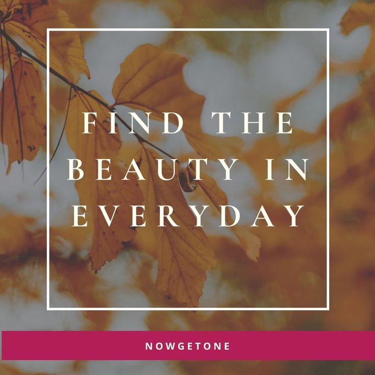 Everyday Quote | Everyday quotes, Quote of the day, Inspirational quotes