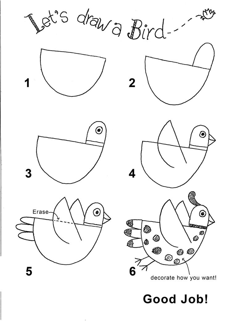 40 best Drawing for Preschoolers images on Pinterest Draw, How to