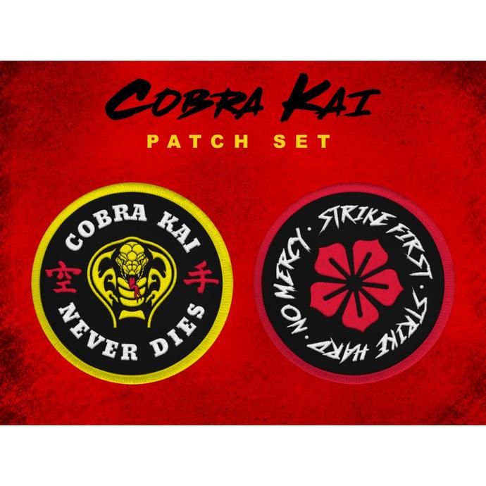 Pin By Mya Bee On B Day In 2021 Karate Kid Cobra Kai Kai Cobra