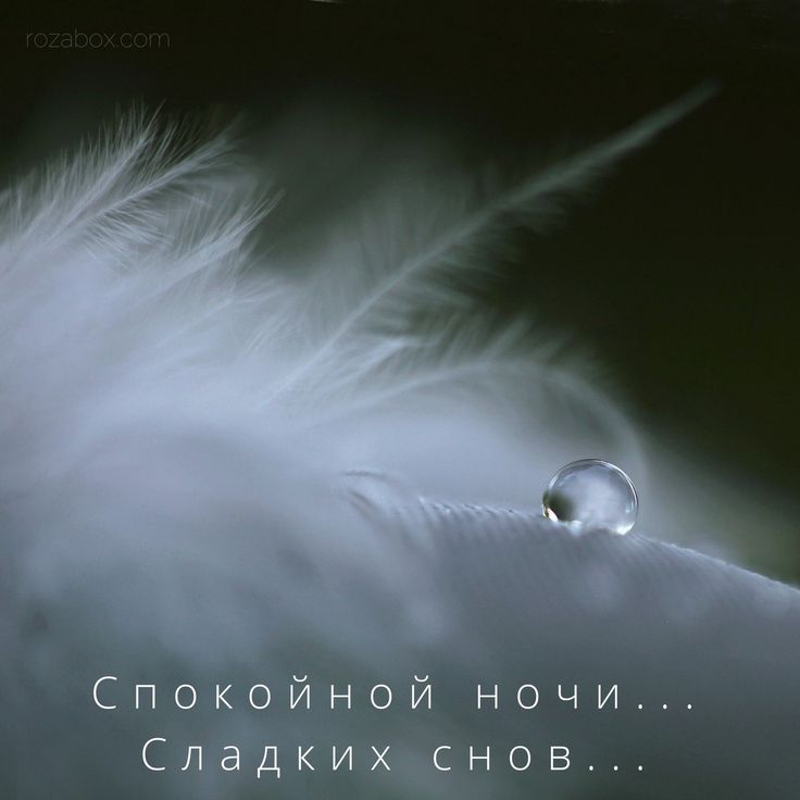 Оригинальные подарки любимым ЗаТебя. Ru 60 Оригинальные подарки любимым ЗаТебя. Ru 41