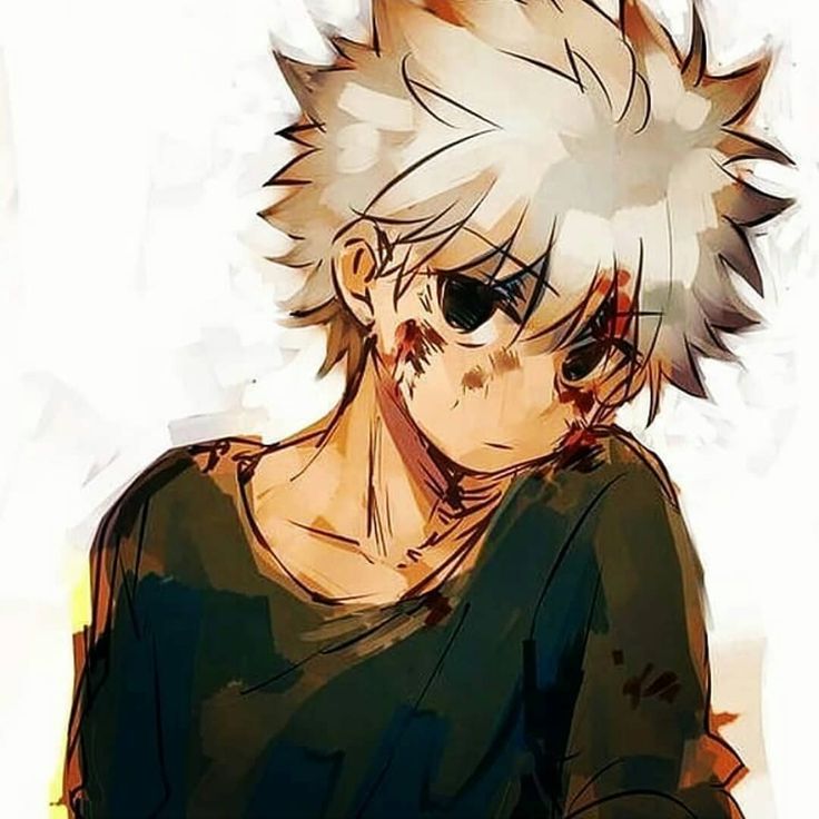 How Many Seasons Of Hxh Are There Zoldyck and Freecss 💖 di Instagram "I wish HxH anime will have season 2