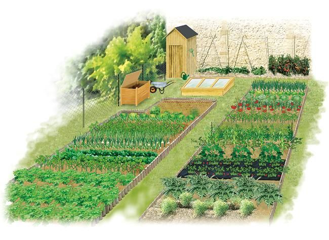 76 best Idees jardin images on Pinterest Gardening, Vegetable - amenager son jardin logiciel gratuit 76 best Idees jardin images on Pinterest Gardening, Vegetable - amenager son jardin logiciel gratuit