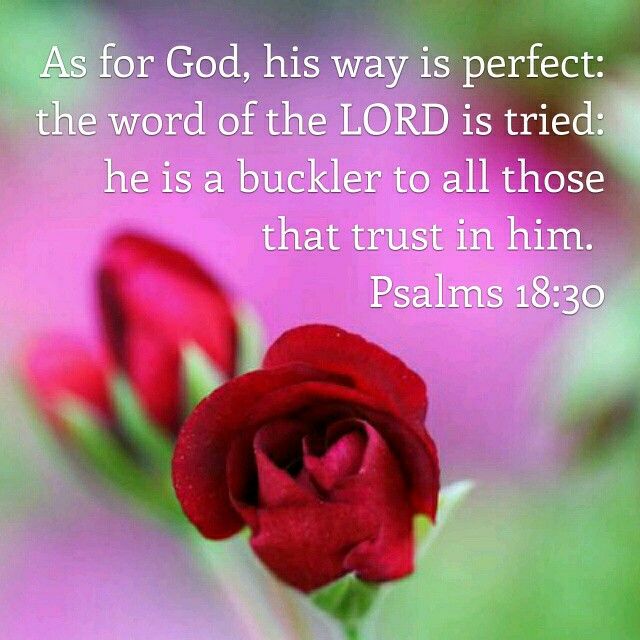 Pin on Bible Verses - My Verses