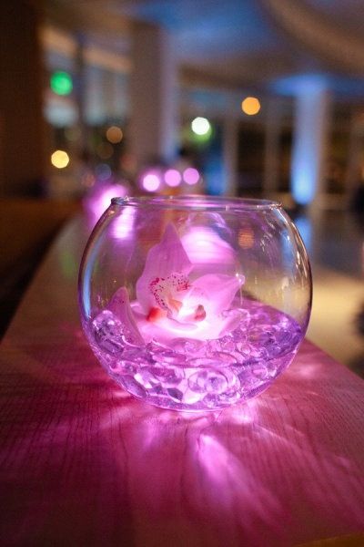 Decoration Avec Boule De Gel Decoration Avec Boule De Gel