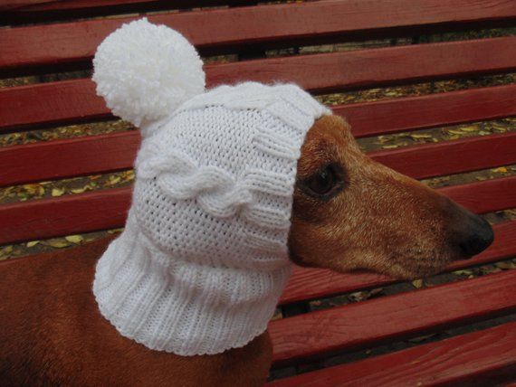 Dog Clothes White Hat With Pompom In 2020 Pet Clothes Small