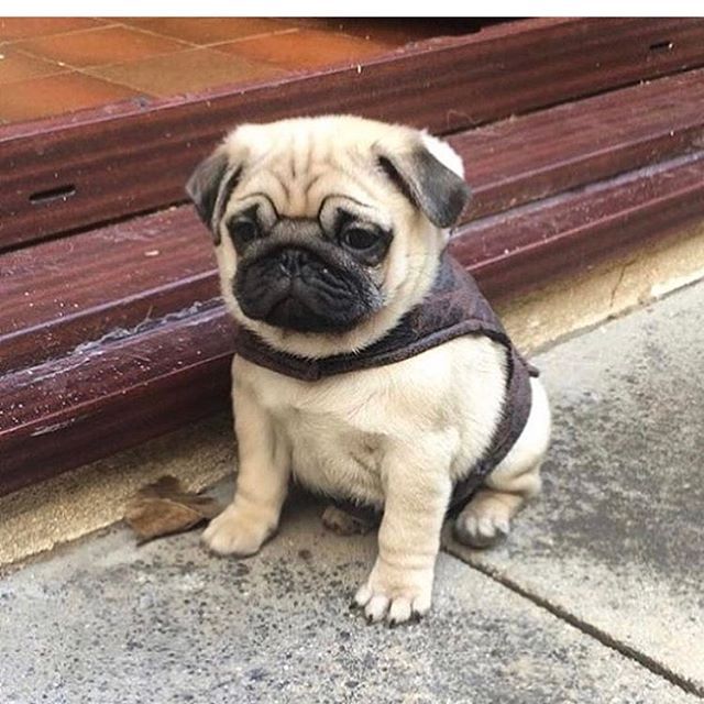 Aucune Description De Photo Disponible Regram Via Www Instagram