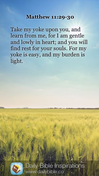 Matthew 11 29 30 Take My Yoke Upon You And Learn From Me For I Am matthew-11-29-30-take-my-yoke-upon-you-and-learn-from-me-for-i-am