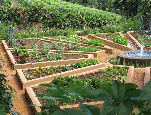 best 25+ vegetable garden design ideas on pinterest | vege garden best 25+ vegetable garden design ideas on pinterest | vege garden