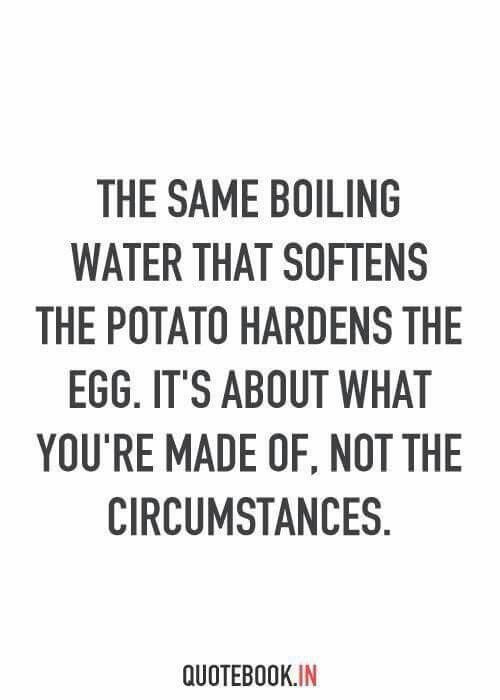 49 best Job quotes images on Pinterest Sayings and quotes - busboy resume sample 49 best Job quotes images on Pinterest Sayings and quotes - busboy resume sample