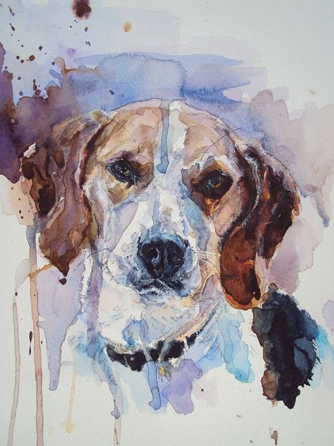 152 best Treeing Walker Coonhound images on Pinterest ... 152 best Treeing Walker Coonhound images on Pinterest ...