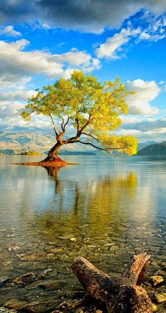 new zealand south island