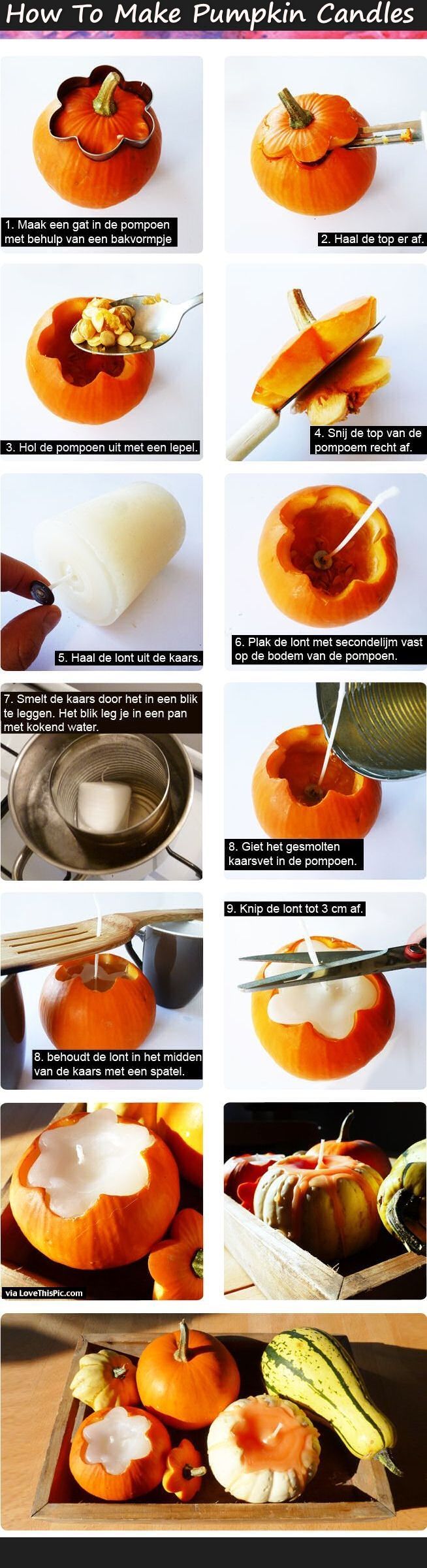 1118 best fall harvest crafts images on pinterest diy fall crafts