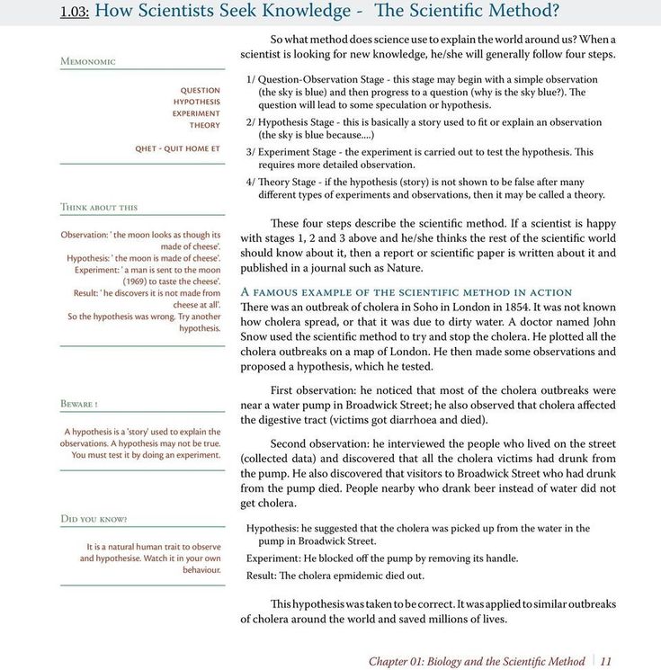 Scientific Method Story Worksheet Biology and the Scientific Method Pdf Scientific Method Story Worksheet Biology and the Scientific Method Pdf