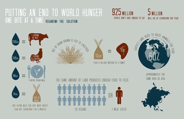 ending world hunger essays There are lots of countries facing hunger issues in the world to reduce world hunger this essay will look at the a big impact on ending world hunger. ending world hunger essays There are lots of countries facing hunger issues in the world to reduce world hunger this essay will look at the a big impact on ending world hunger.