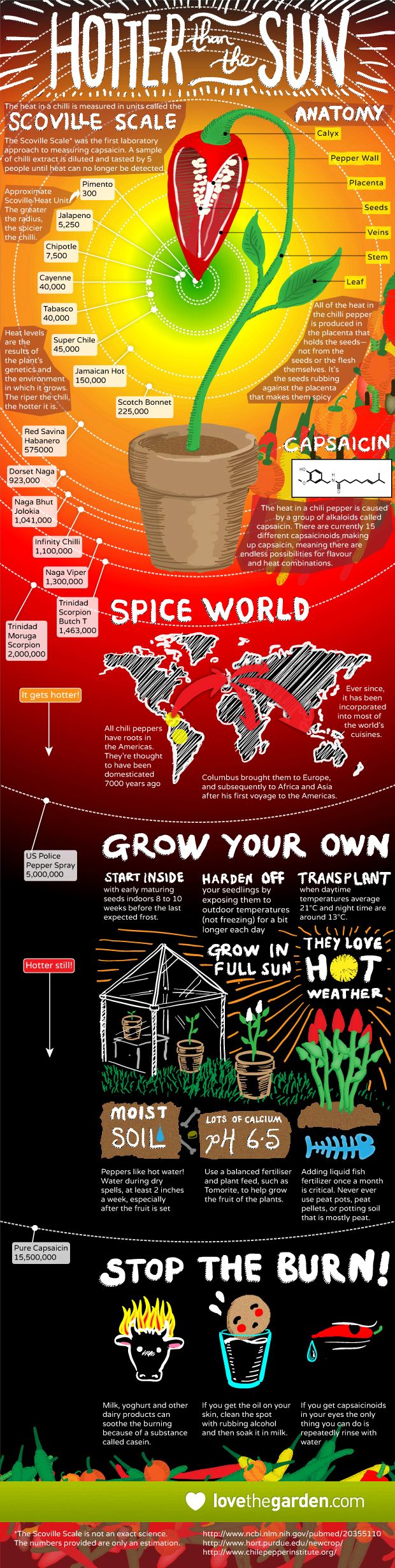45 best chilli chili peppers images on Pinterest 45 best chilli chili peppers images on Pinterest