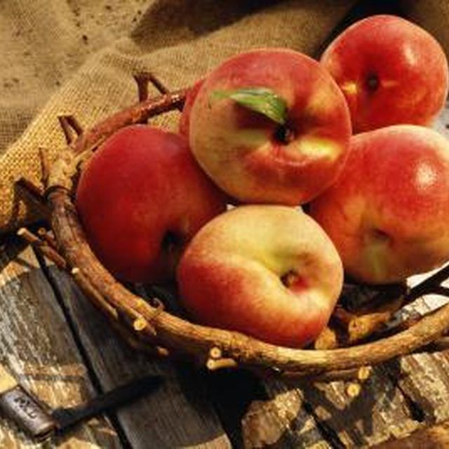 List Of Foods Allowed On Daniel Fast List Of Foods Allowed On Daniel Fast