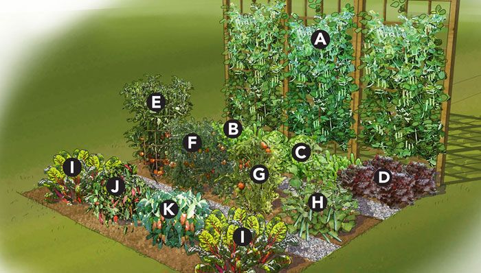 33 Garden Ideas Vegetable Raised 33 Garden Ideas Vegetable, Small Vegetable Garden Layout Examples
