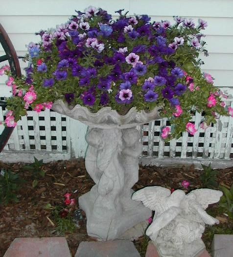 Bird Bath Turned Planter Gardening TipsContainer GardeningFlower