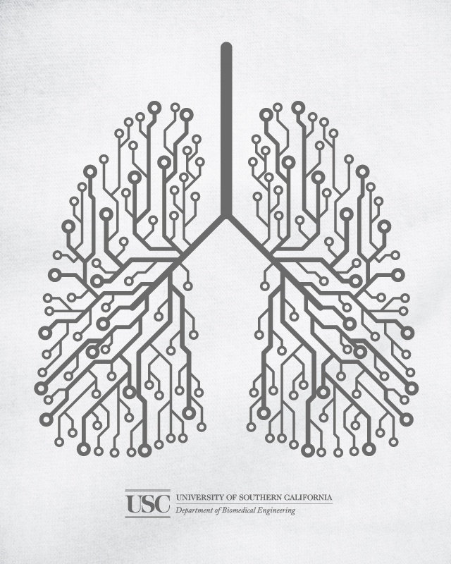 16 best Biomedical engineering technology images on Pinterest - sample resume for biomedical engineer 16 best Biomedical engineering technology images on Pinterest - sample resume for biomedical engineer