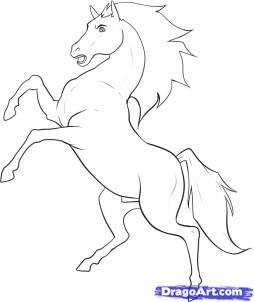 how to draw a stallion