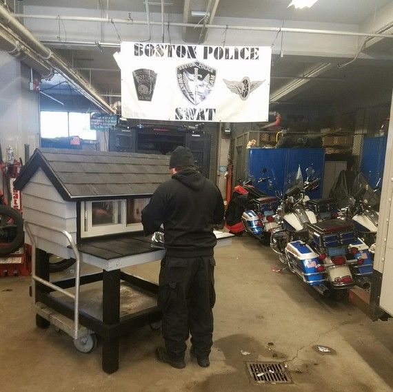 Cops Banded Together To Build This Cat Condo For A Friendly Neighborhood Stray Cat Condo Stray Cat Cats
