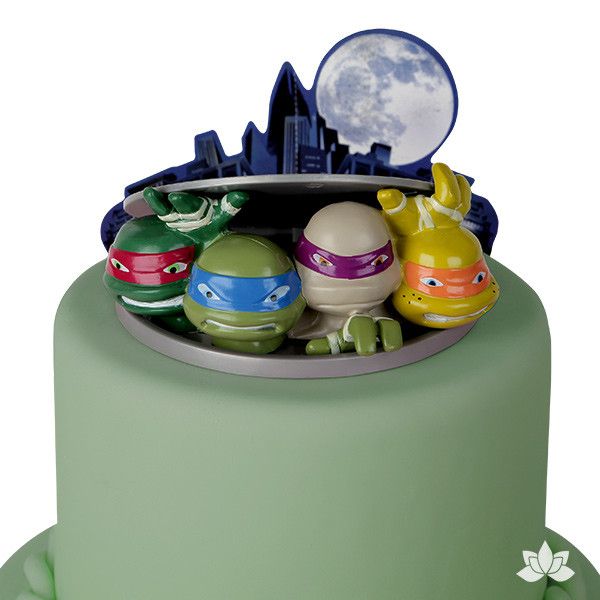 Tmnt Cake Decorating Kit Tmnt Cake Decorating Kit
