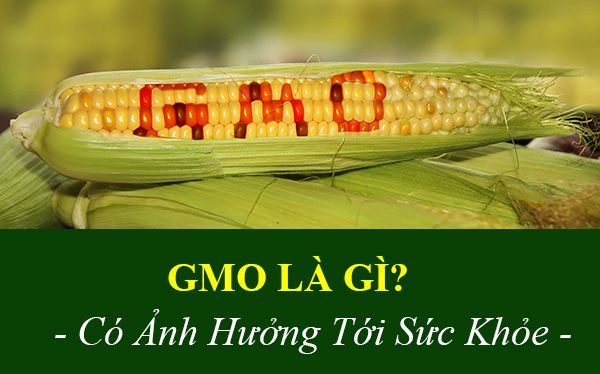 Gmo Va Non Gmo La Gi Js Group
