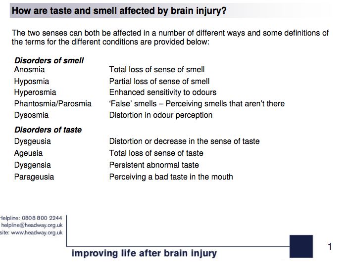essays on sense of smell Each sense plays its part in memory retrieval and the best way to accurately and in detail commit an event or information to memory and later retrieve that event or information is to use as many senses as possible when encoding but the most effect sense in storing and retrieving detailed information or events is the sense of smell. essays on sense of smell Each sense plays its part in memory retrieval and the best way to accurately and in detail commit an event or information to memory and later retrieve that event or information is to use as many senses as possible when encoding but the most effect sense in storing and retrieving detailed information or events is the sense of smell.