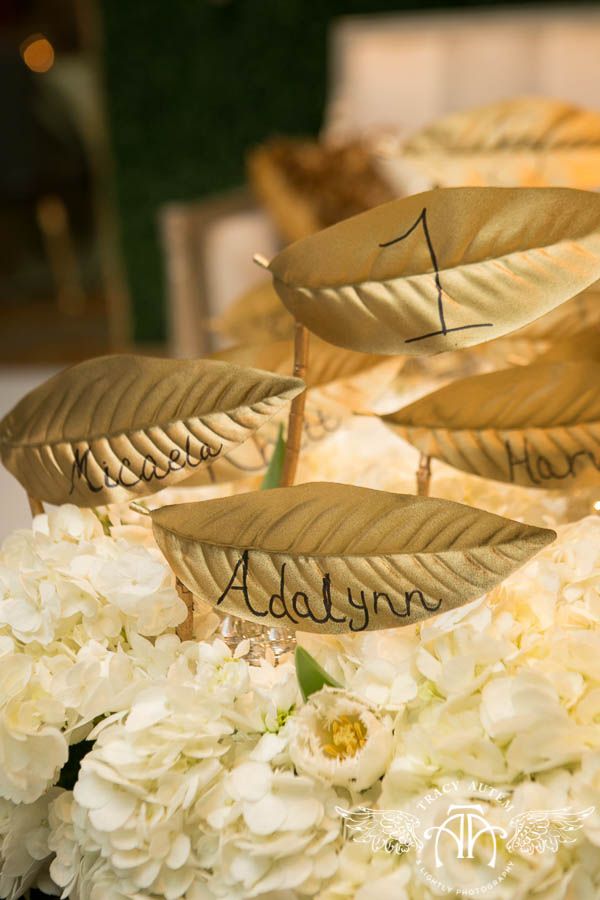 Fort Worth Club Open House March 2014-0011 | Wedding specials, Disney