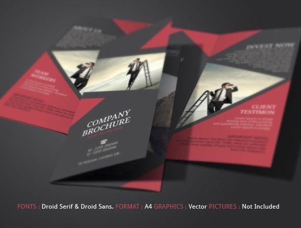 55 best Design images on Pinterest Brochure template, Flyer - free tri fold brochure templates microsoft word 55 best Design images on Pinterest Brochure template, Flyer - free tri fold brochure templates microsoft word