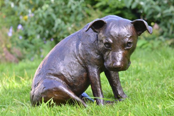 Bronze Resin Sculpture By Sculptor Tanya Rus Titled Please Take Me Home Sitting Staffie Mrbs Tanyaru Dog Rescue Dogs Staffies - Staffy Dog Garden Statues Bronze Resin Sculpture By Sculptor Tanya Rus Titled Please Take Me Home Sitting Staffie Mrbs Tanyaru Dog Rescue Dogs Staffies - Staffy Dog Garden Statues