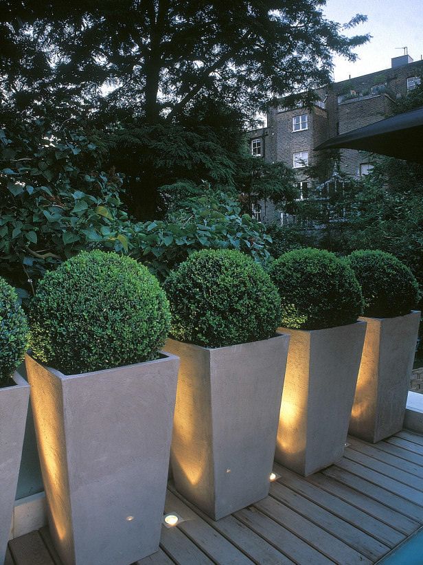 Tall Potted Plants best 25+ large outdoor planters ideas on pinterest | big planters Tall Potted Plants best 25+ large outdoor planters ideas on pinterest | big planters