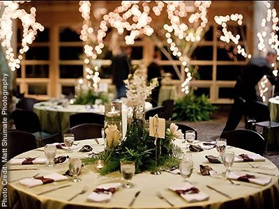 Woodland Park Zoo Seattle Weddings Washington State Wedding Venues Woodland Park Zoo Seattle Weddings Washington State Wedding Venues 98103 It Just Got Real Pinterest And